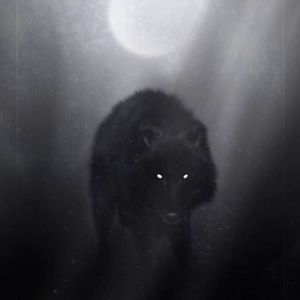 Meet your Posher, Elbert